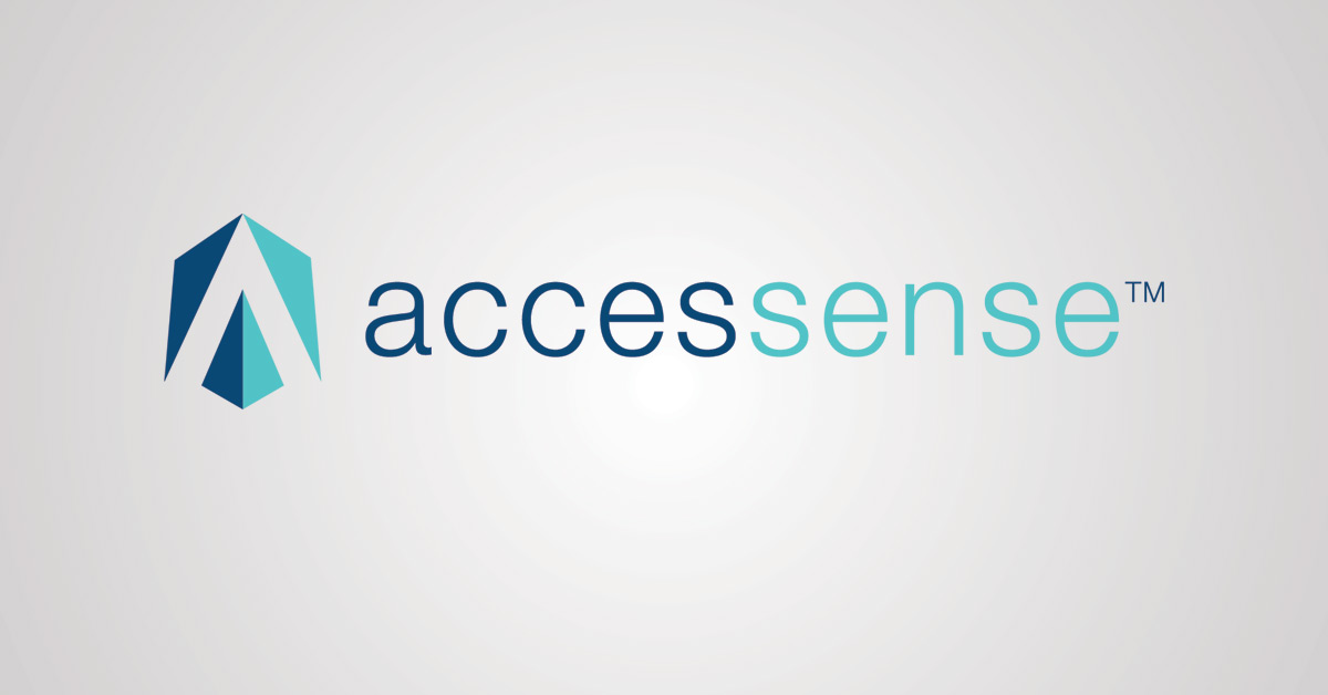 accessense-business-consulting-hourly-rate